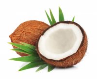 coconut-trans