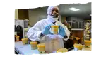 gs gelato manufacturer usa production line