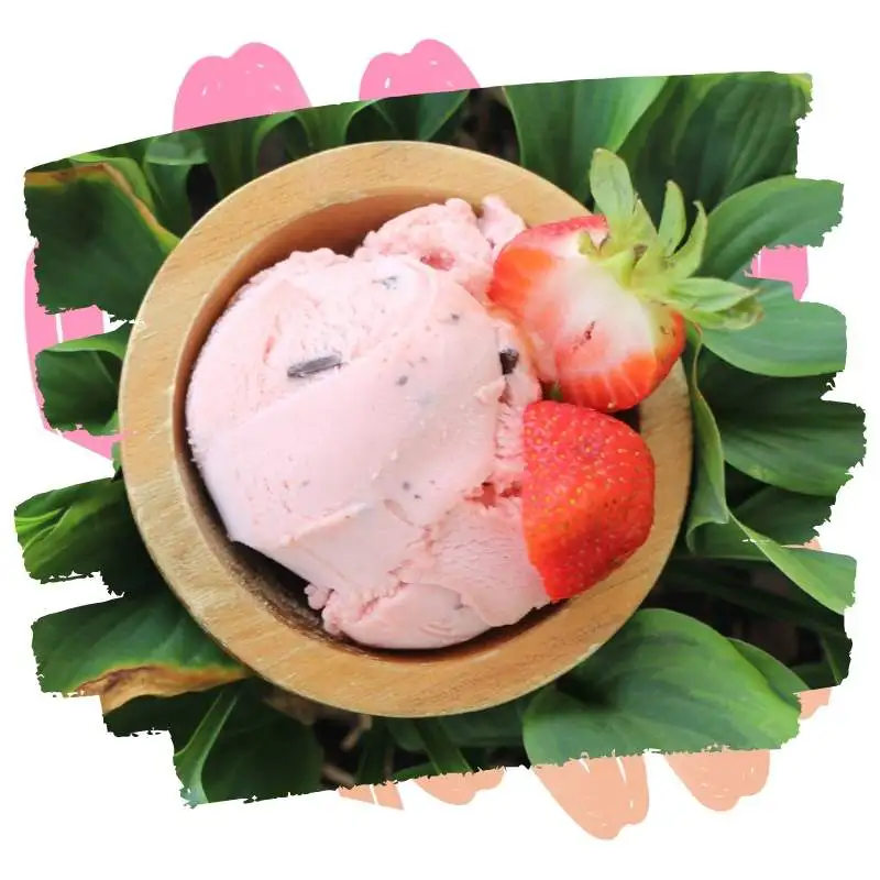 non-dairy plant-based frozen desserts