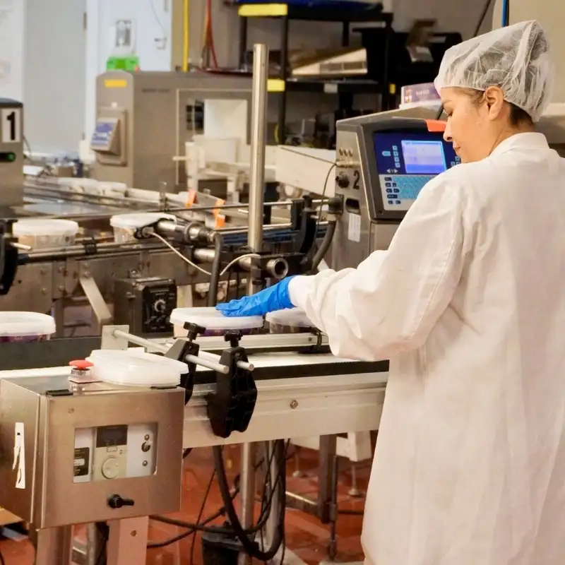 production line at gelato manufacturer usa